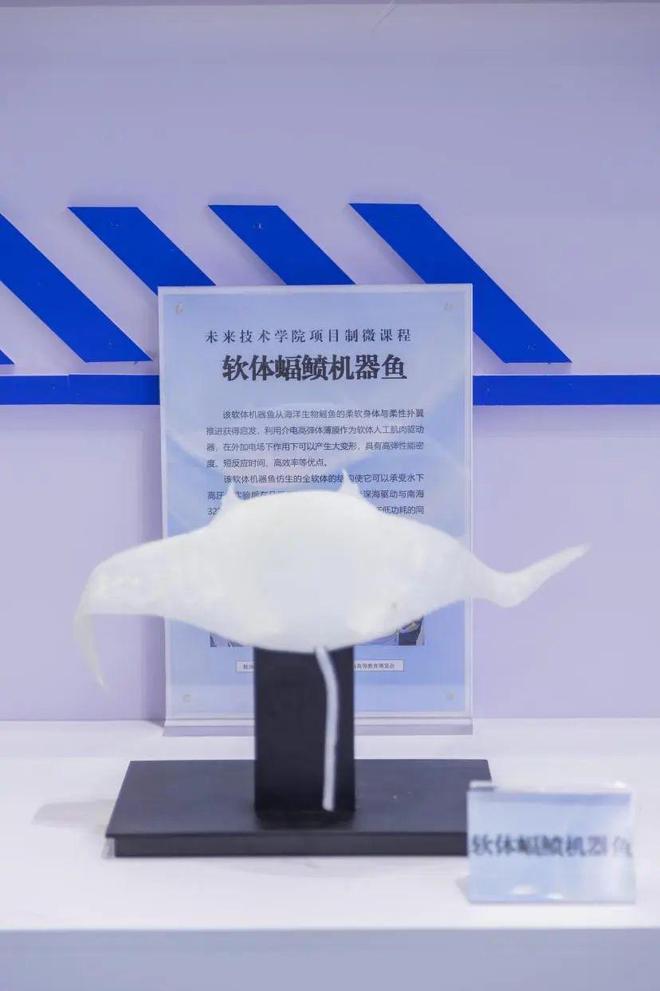 水下机器人、履带式机械车、水下对讲机 哈工程成果亮相全国“高博会”(图4)