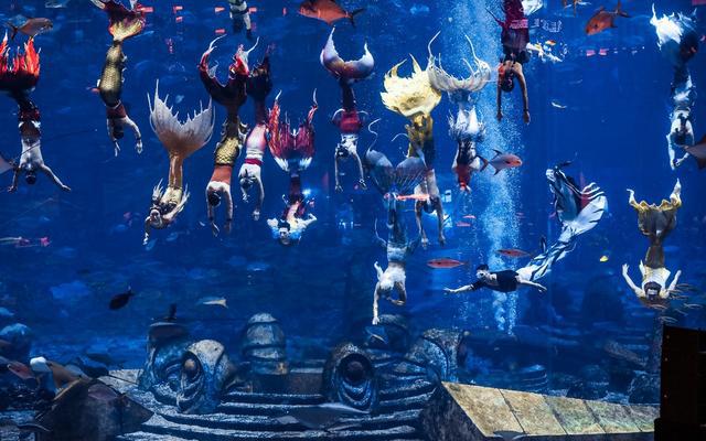 九游app：见证水下荣耀：2024年中国美人鱼公开赛年度总冠军赛暨亚洲杯赛闭幕(图6)