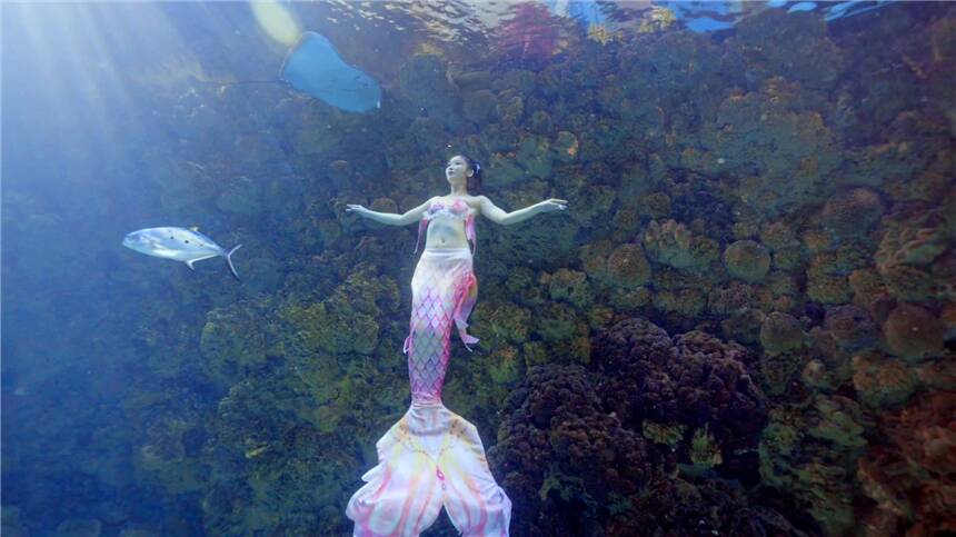 60余位“美人鱼”水下PK！2023年中国美人鱼公开赛在青岛极地海洋公园启幕(图2)