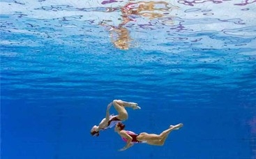 九游官网入口：2023美人鱼(图1)