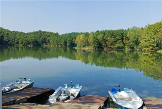 【创建全民运动健身模范市】2024年全国公开水域蹼泳比赛暨蹼泳全民健身大赛即将开赛(图3)