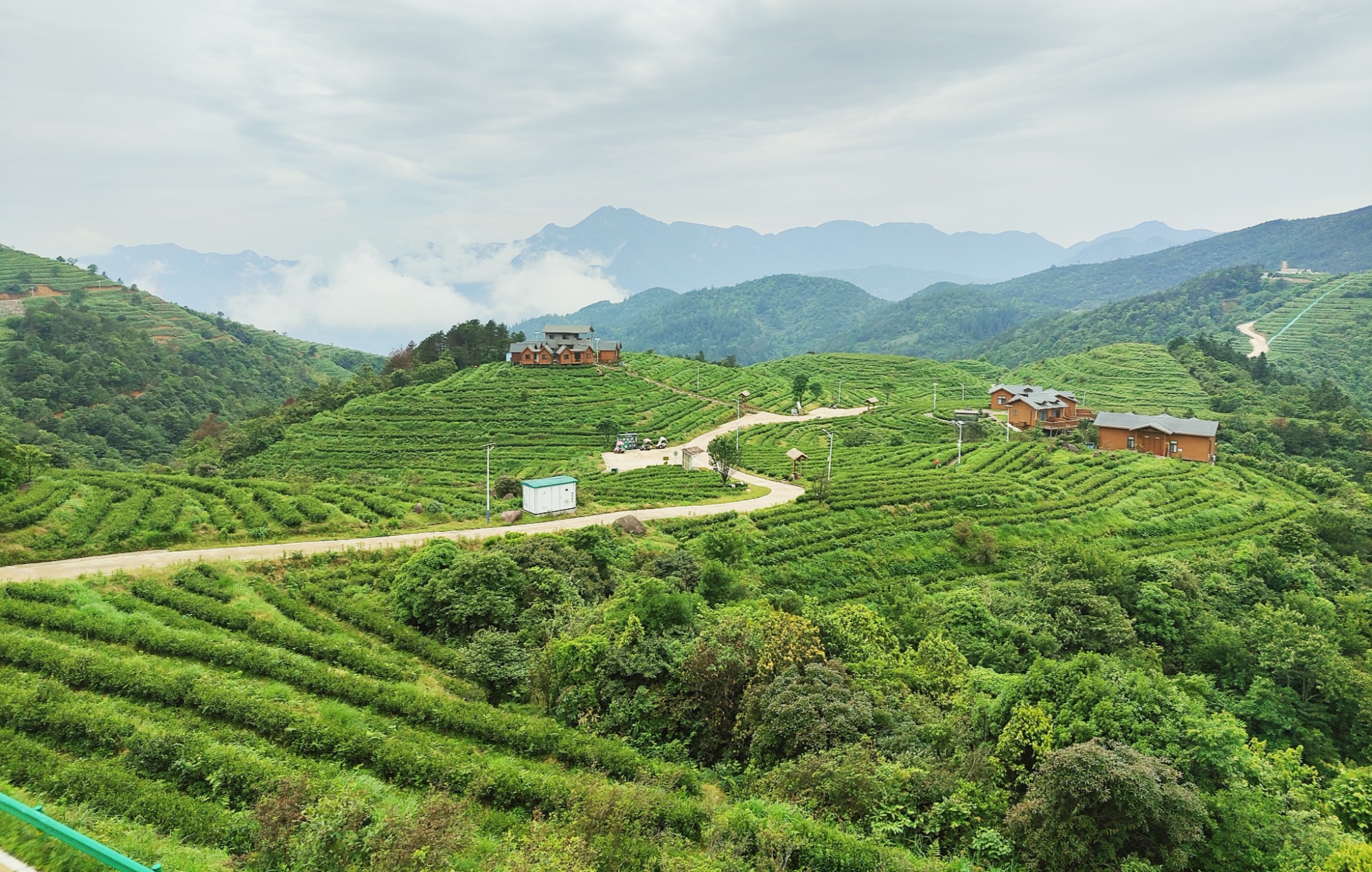 九游体育：“野·趣”横生 一个来了就不想走的地方(图1)