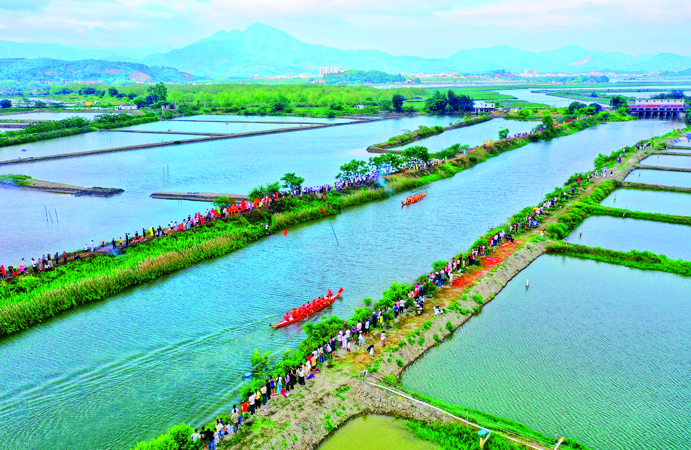 影像│桨影翻飞 龙舟竞速(图4)