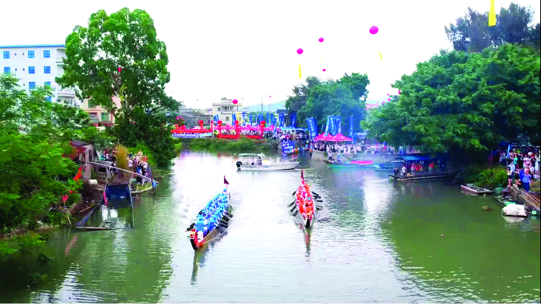 影像│桨影翻飞 龙舟竞速(图5)