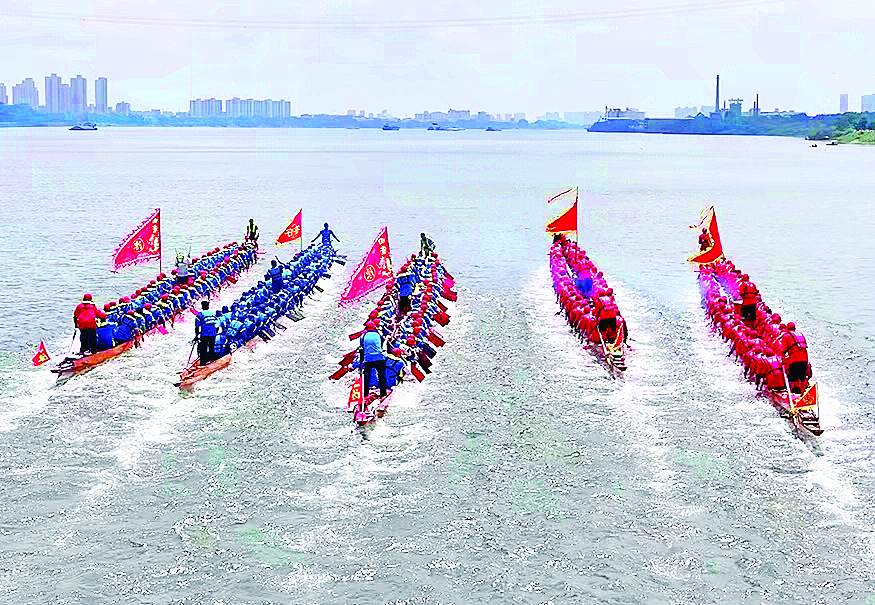 影像│桨影翻飞 龙舟竞速(图7)