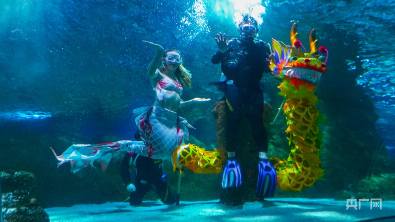 九游体育：非遗古韵遇见海洋激情 大连端午绽放多元魅力(图2)