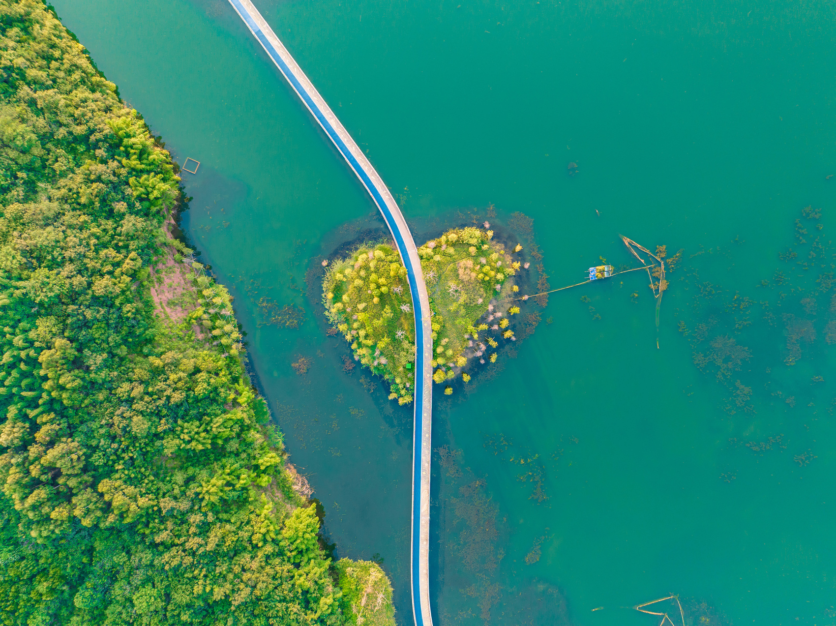 以自然之力恢复生态环境 以生态颜值激活经济价值 兴隆湖有片“水下森林”丨牢记嘱托 奋力打造两高地两基地一屏障(图1)