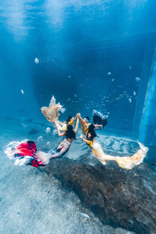 2024年中国美人鱼公开赛深圳小梅沙站等你来观赛！(图2)