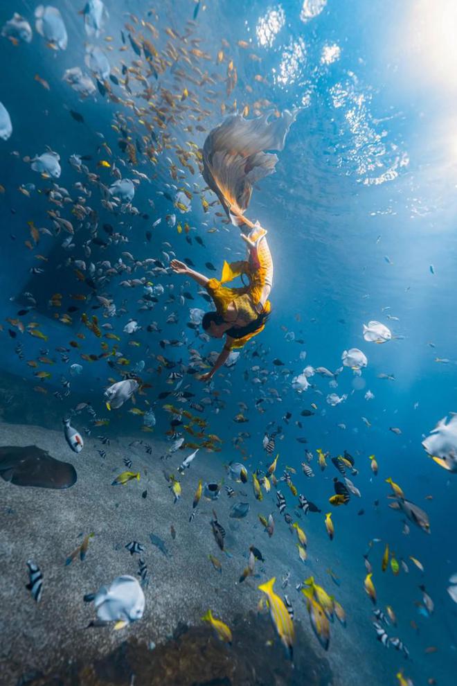 2024年中国美人鱼公开赛深圳小梅沙站等你来观赛！(图5)