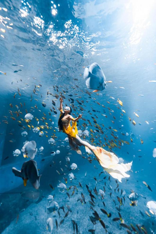 2024年中国美人鱼公开赛深圳小梅沙站等你来观赛！(图4)