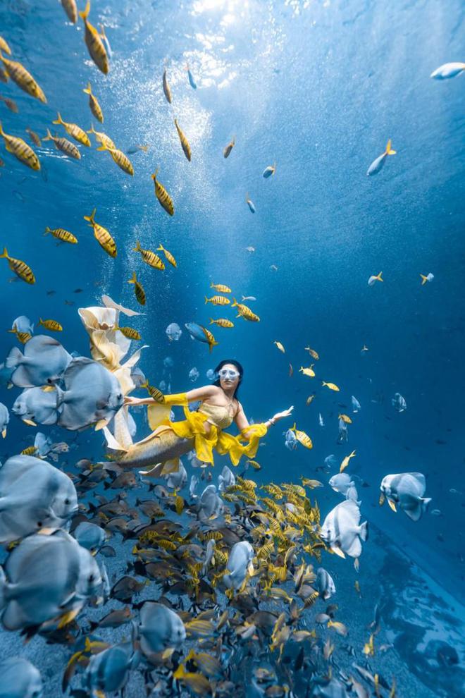 2024年中国美人鱼公开赛深圳小梅沙站等你来观赛！(图3)