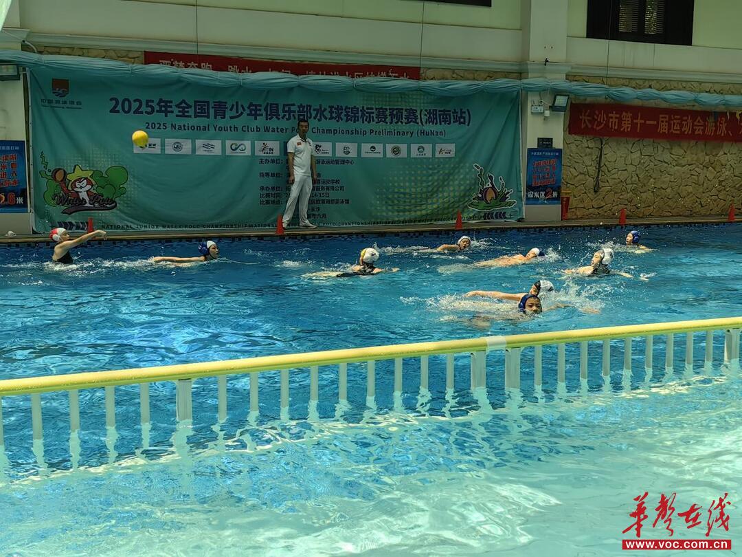 九游app：2025全国青少年俱乐部水球锦标赛乙组预赛（湖南站）圆满落幕(图2)
