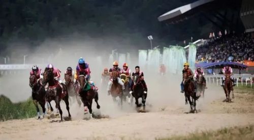 九游体育：中国反内卷第一大省：不搞钱只搞笑(图4)