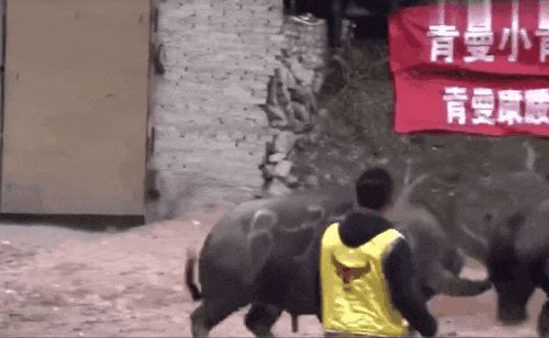 九游体育：中国反内卷第一大省：不搞钱只搞笑(图12)