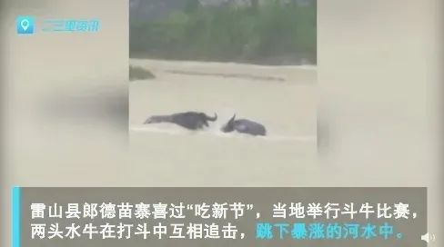 九游体育：中国反内卷第一大省：不搞钱只搞笑(图14)