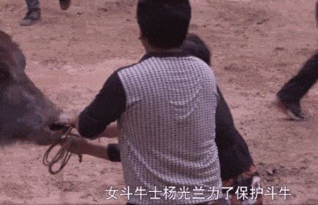 九游体育：中国反内卷第一大省：不搞钱只搞笑(图17)