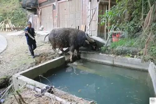 九游体育：中国反内卷第一大省：不搞钱只搞笑(图16)