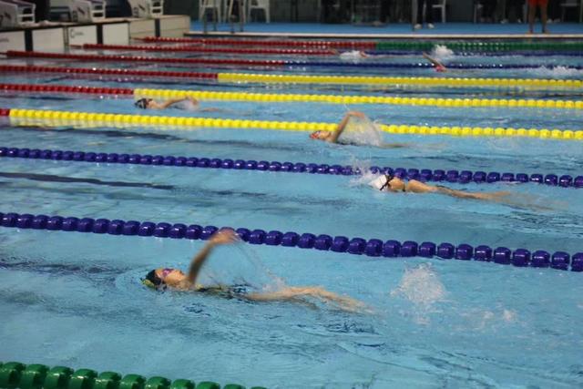 申城千名学子泳池逐浪赛事升温青少年体育热情(图1)