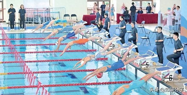 九游体育:2025年全国青少年游泳U系列比赛(肇庆站)开赛(图1)