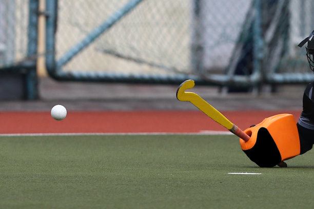 九游app：2016-2021年互聯網+曲棍球用品市場運營模式研究咨詢報告(图1)