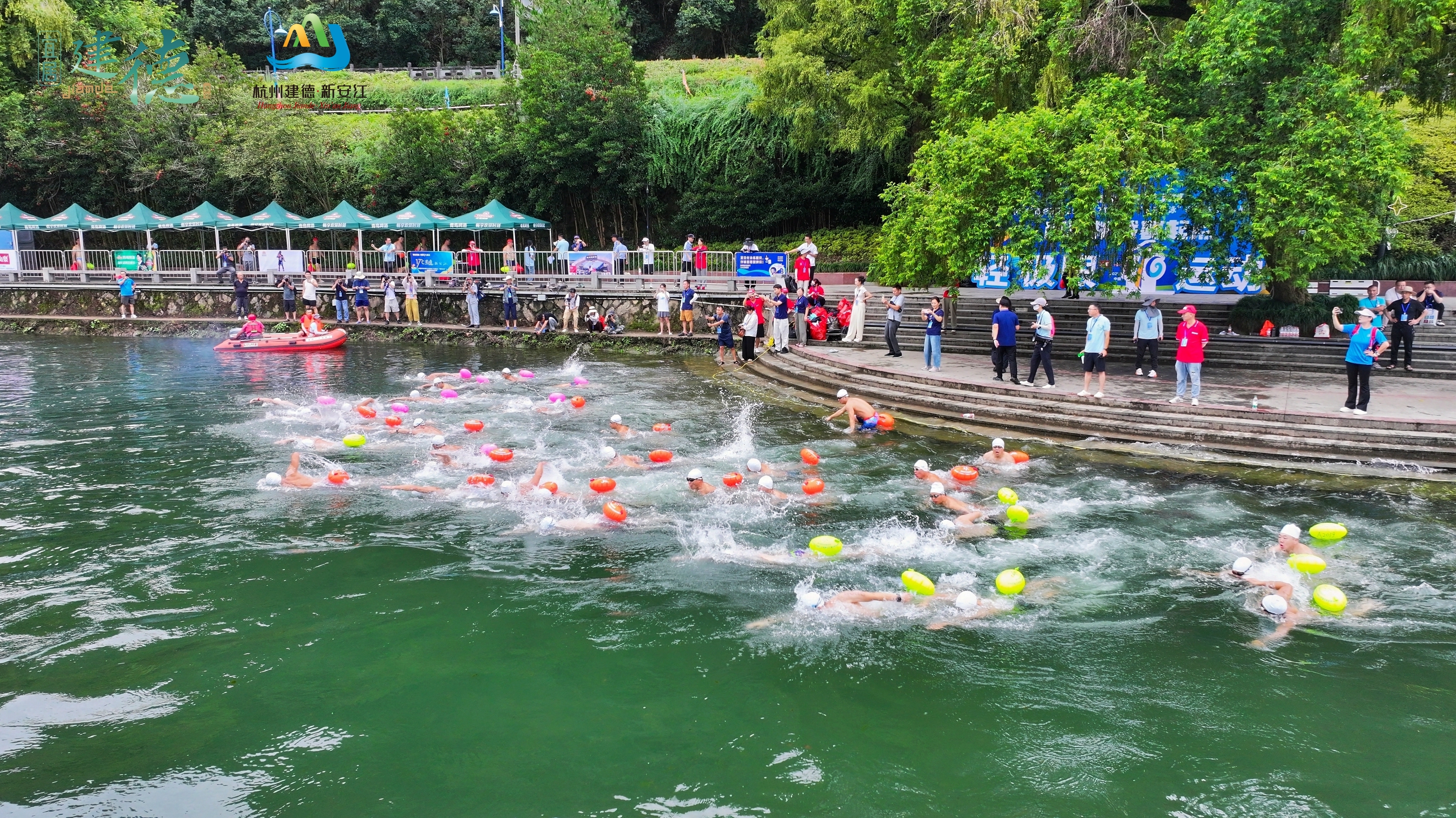 夏日冬泳桐乡“泳”夺冠军!(图4)