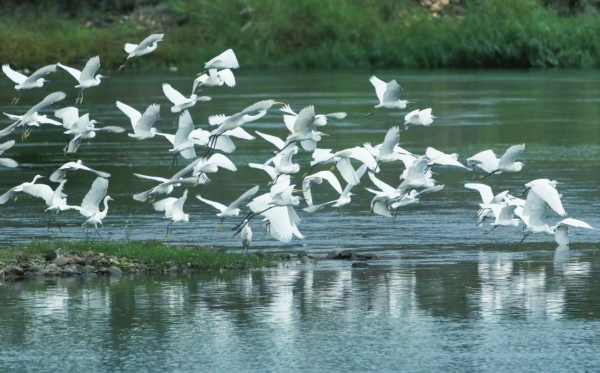 九游官网入口：大湖新记丨天子湖上好冲浪(图4)