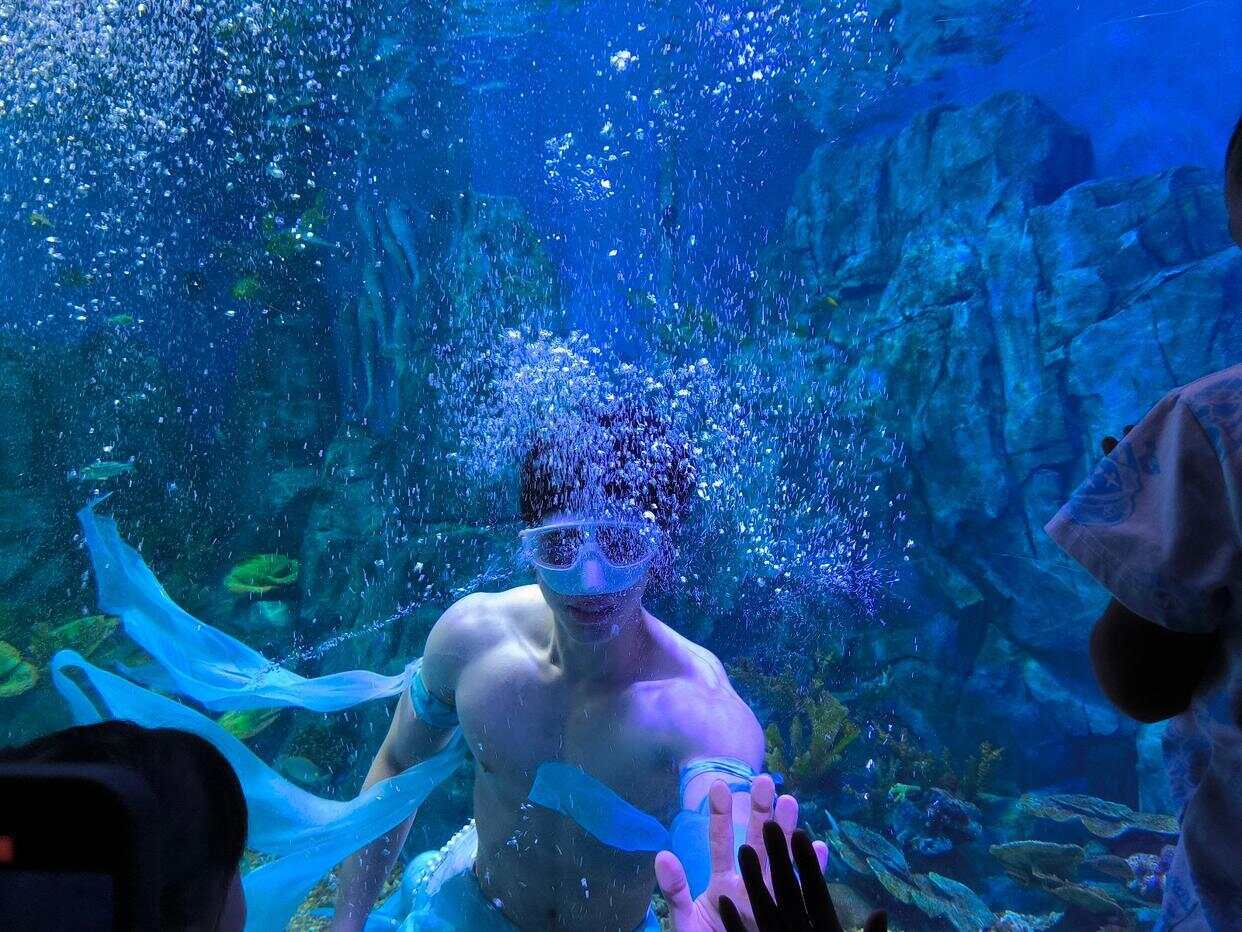 “男美人鱼”在海洋馆表演走红 暑期月薪近万元(图1)