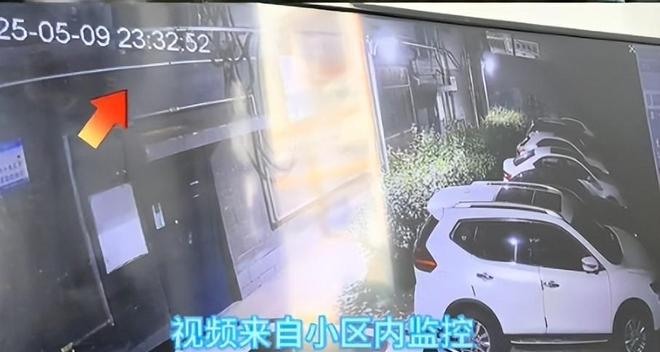 大树砸坏奔驰车整整三天没人管网友：车撞树分分钟找上门(图3)