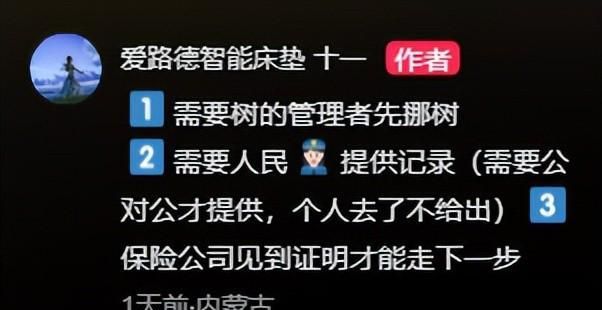 大树砸坏奔驰车整整三天没人管网友：车撞树分分钟找上门(图5)