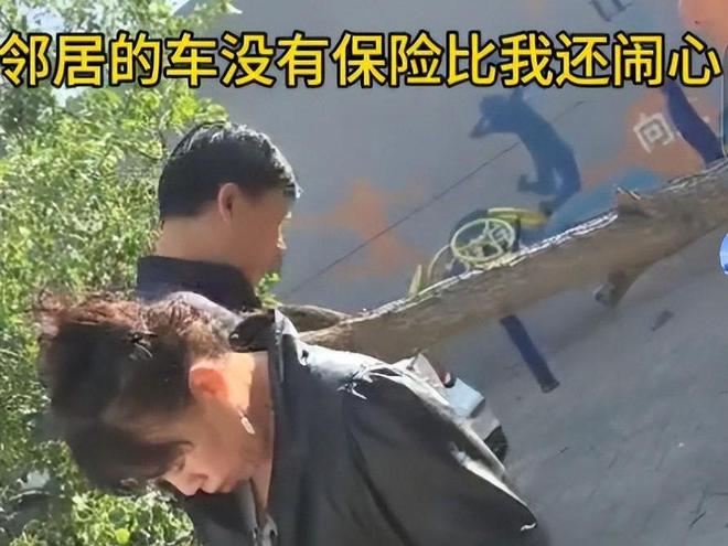 大树砸坏奔驰车整整三天没人管网友：车撞树分分钟找上门(图7)