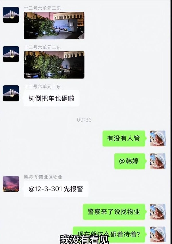 大树砸坏奔驰车整整三天没人管网友：车撞树分分钟找上门(图6)