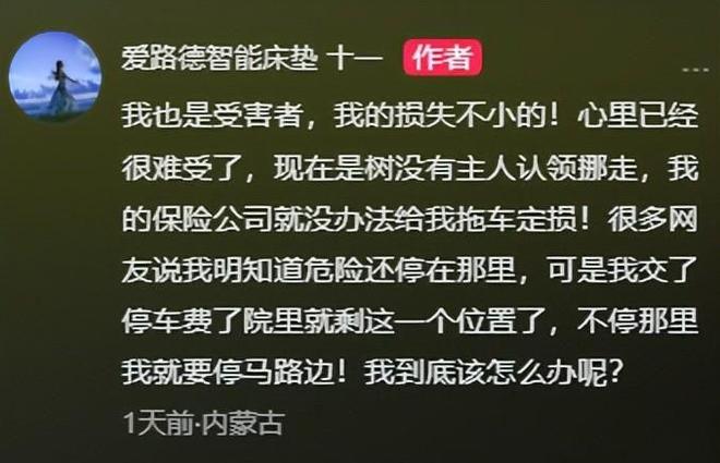 大树砸坏奔驰车整整三天没人管网友：车撞树分分钟找上门(图10)