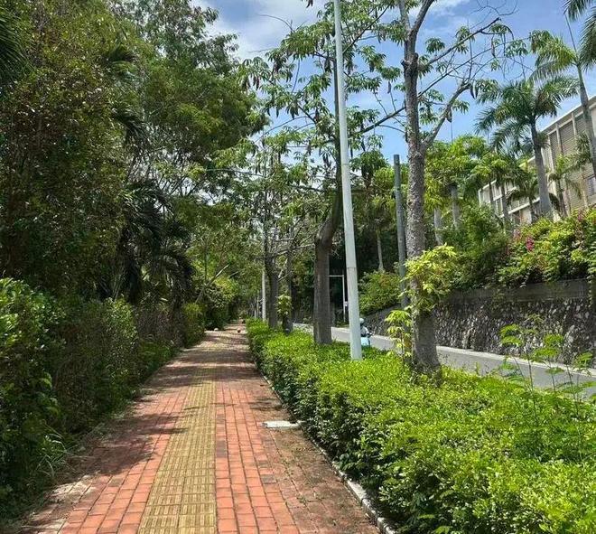 女子三亚旅游被蛇咬至身亡过程及进展：官方介入家属称或考虑尸检(图2)