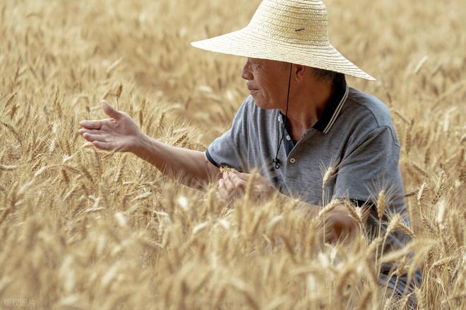 70多岁老人难道每天就剩这四件事了吗？ 非也他们还能做9件事(图2)