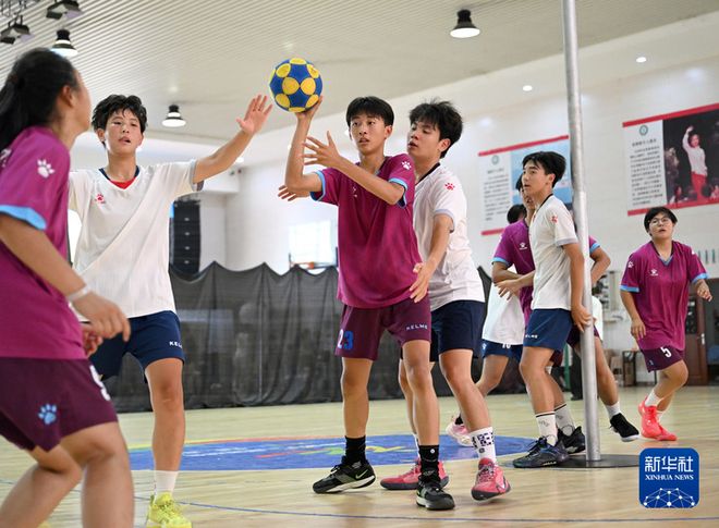 荷球、棍网球、壁球……小众运动走向大众(图2)