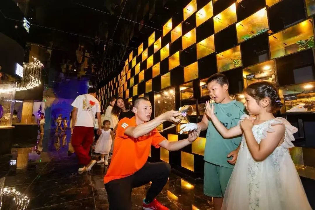 九游体育:苏超生意经(图10)