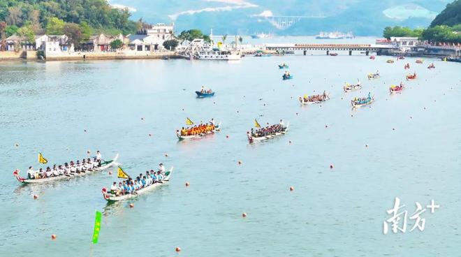 开扒!广东超全“睇龙船”指南来了→分享给亲友(图4)