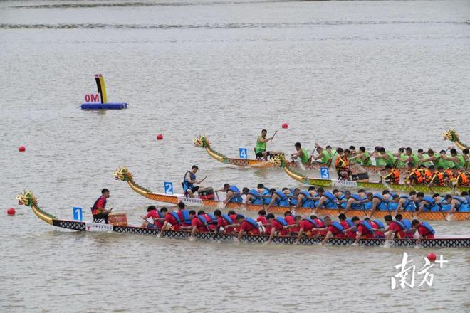 开扒!广东超全“睇龙船”指南来了→分享给亲友(图6)