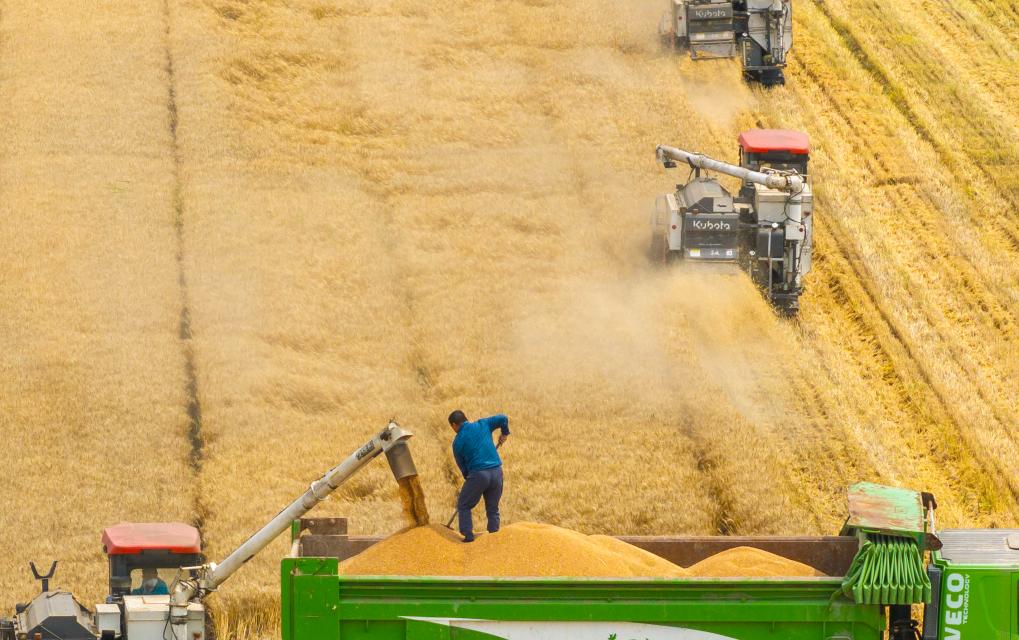 九游体育：蓄足“水动力” 多地抗旱保粮一线观察(图1)