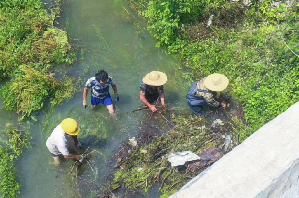 九游体育：蓄足“水动力” 多地抗旱保粮一线观察(图3)