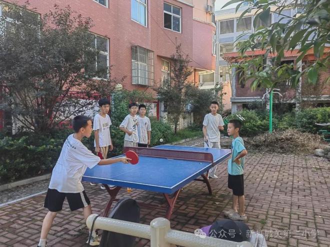 体艺科创绘华章 暑假成长添光彩 新县城关二小假期成果总结(图12)