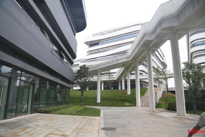 九游体育：全球首创！“成都造”仿生胶原蛋白突破热稳定性难题(图4)