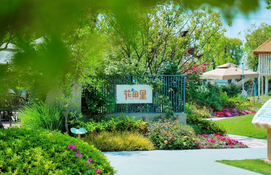 联动2025世界赛艇锦标赛 青浦还有这么多好去处(图18)