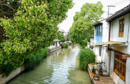 联动2025世界赛艇锦标赛 青浦还有这么多好去处(图21)