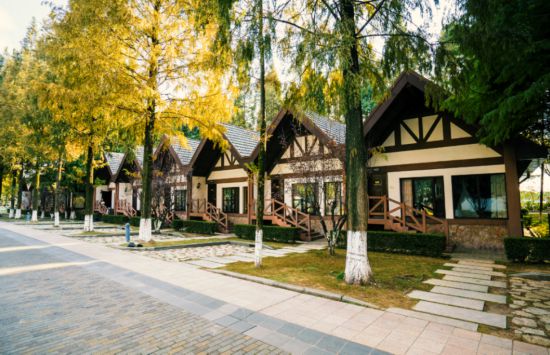 联动2025世界赛艇锦标赛 青浦还有这么多好去处(图23)