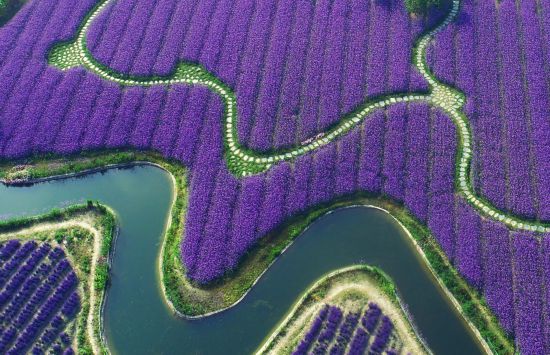 联动2025世界赛艇锦标赛 青浦还有这么多好去处(图30)