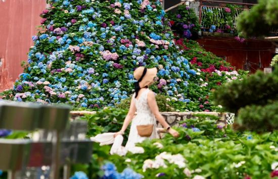 联动2025世界赛艇锦标赛 青浦还有这么多好去处(图43)