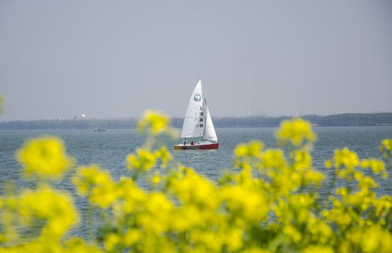 联动2025世界赛艇锦标赛 青浦还有这么多好去处(图11)