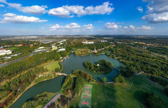 联动2025世界赛艇锦标赛 青浦还有这么多好去处(图10)