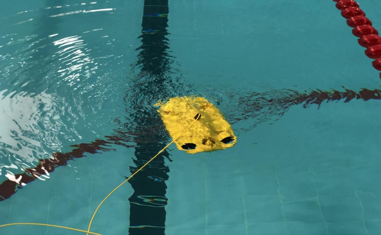 宁波市政协为拓宽“绿水青山就是金山银山”转化通道建言献策(图1)